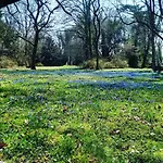 - Kavaliershaus - Schluesseltresor - Kein Tv Bed & Breakfast *