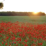 - Kavaliershaus - Schluesseltresor - Kein Tv *