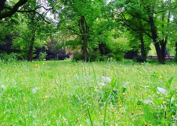 住宿加早餐酒店 - Kavaliershaus - Schluesseltresor - Kein Tv