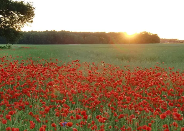 - Kavaliershaus - Schluesseltresor - Kein Tv *
